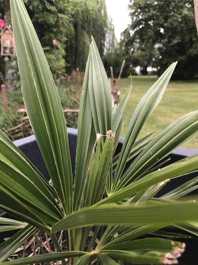 Campagn'Art Bed & Breakfast Les Fosses Exterior foto