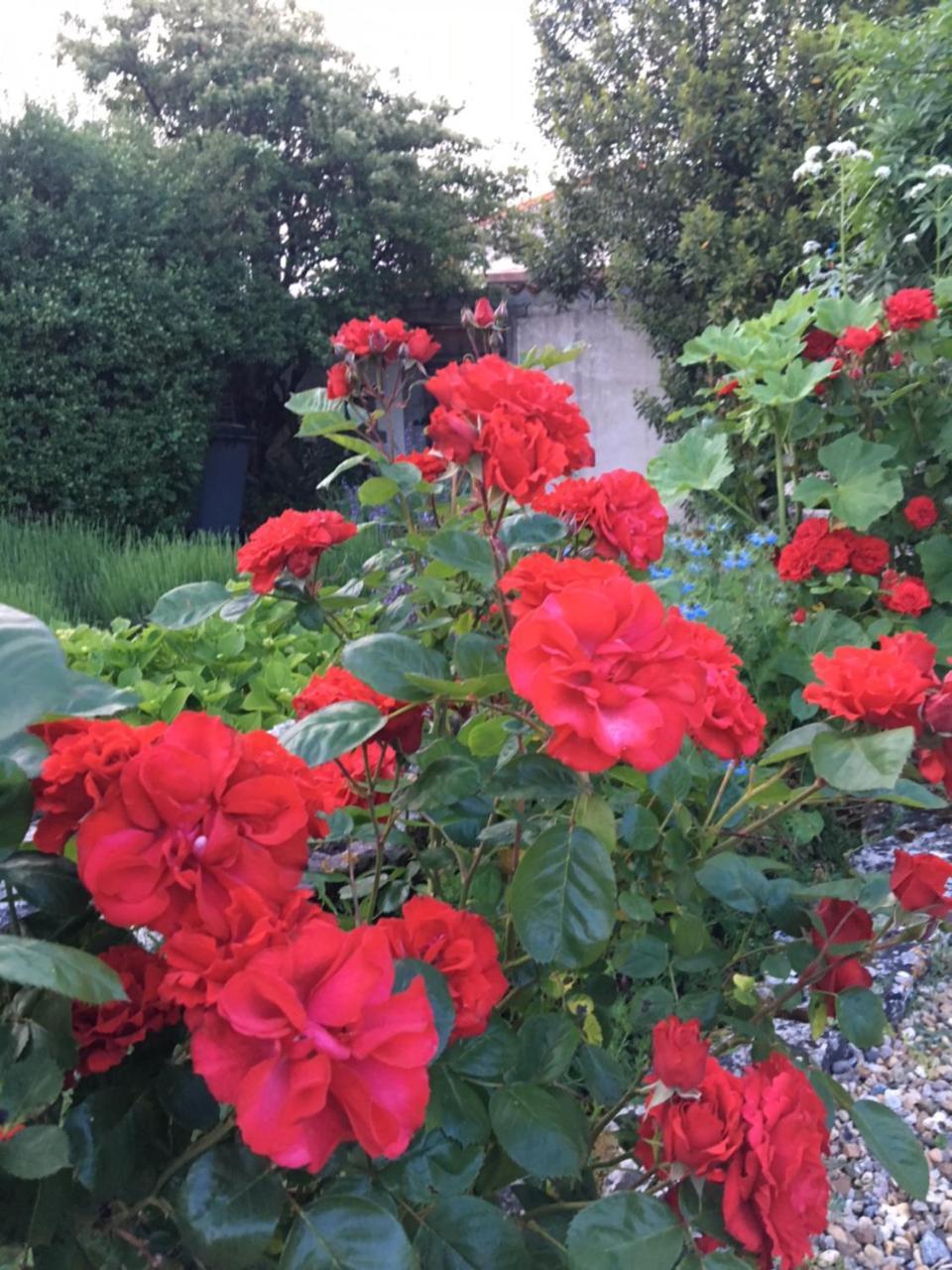 Campagn'Art Bed & Breakfast Les Fosses Exterior foto